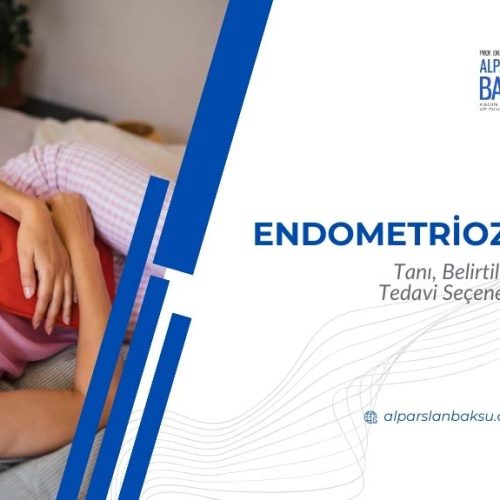 endometriozis tanı ve tedavi seçenekleri, alparslan baksu