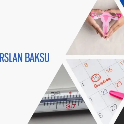 doğal doğum kontrol, alparslan baksu