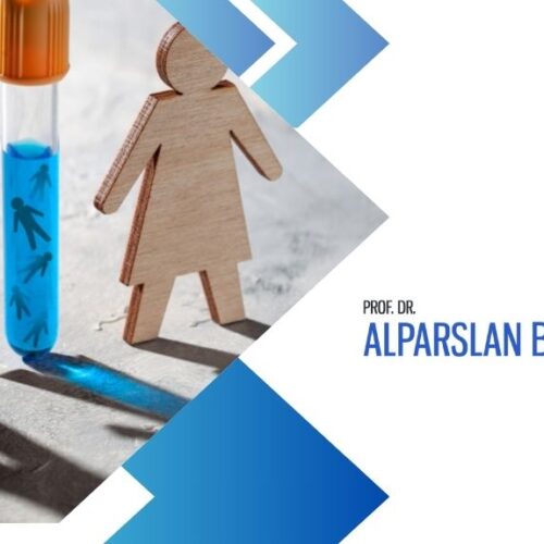 tüp bebek tedavileri, alparslan baksu