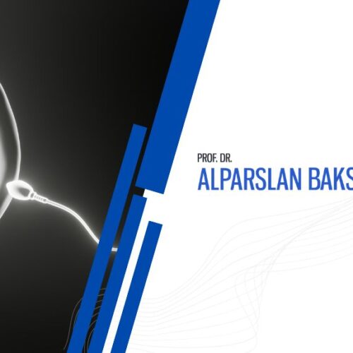 mikro tese ile kısırlık tedavisi, alparslan baksu