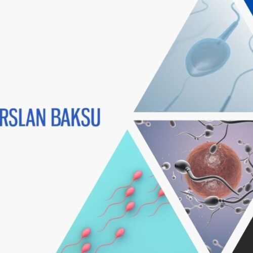 sperm dondurma süreci, alparslan baksu