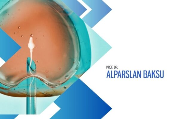 yumurta dondurma ve yaş, alparslan baksu