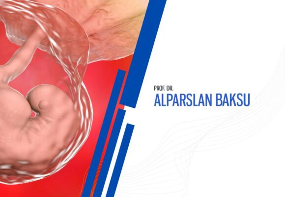 tüp bebek tedavisinde embriyo, alparslan baksu