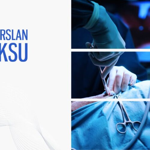 endometriozis tedavisinde laparoskopi, alparslan baksu