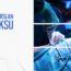 endometriozis tedavisinde laparoskopi, alparslan baksu