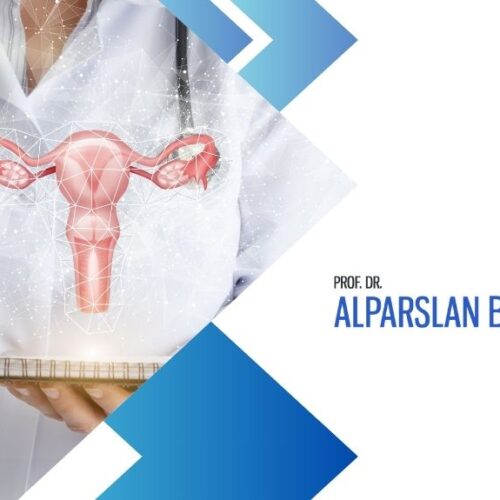 rahimde yapışıklıklar, alparslan baksu
