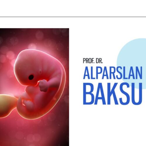 embriyoskop teknolojisi, alparslan baksu