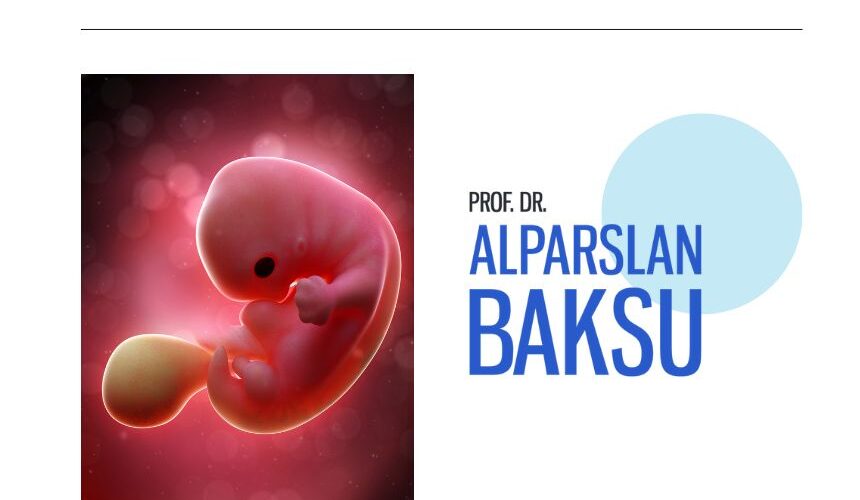embriyoskop-teknolojisi embriyoskop teknolojisi, alparslan baksu