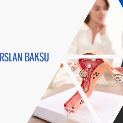 miyomektomi yöntemleri, alparslan baksu