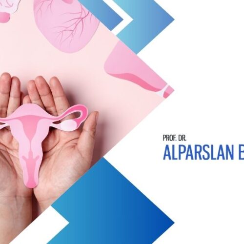 rahim ve tüp tıkanıklıkları, alparslan baksu