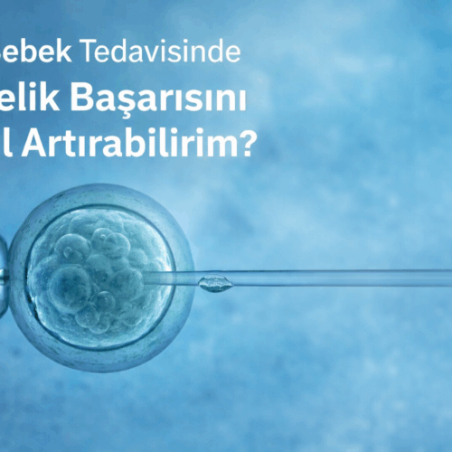 Tüp bebek tedavisinde gebelik başarısını artırma yöntemlerini anlatan embriyo ve mikroenjeksiyon görseli