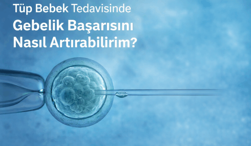 Tüp bebek tedavisinde gebelik başarısını artırma yöntemlerini anlatan embriyo ve mikroenjeksiyon görseli